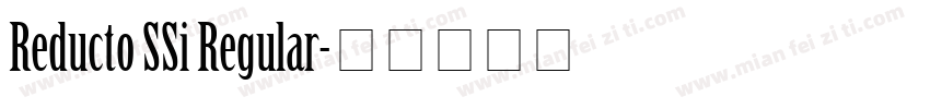 Reducto SSi Regular字体转换